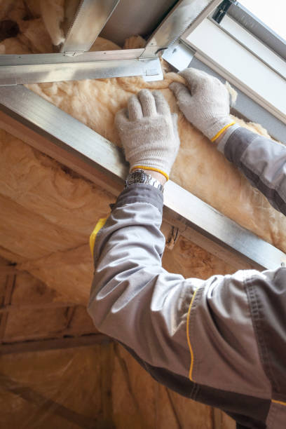 Best Specialized Insulation Services in Hawthorne, FL