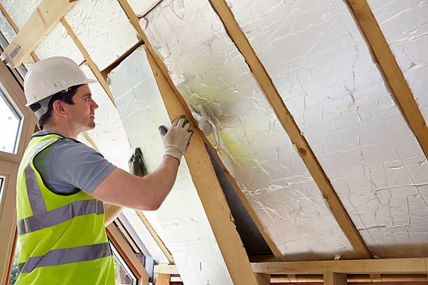 Types of Insulation We Offer in Hawthorne, FL